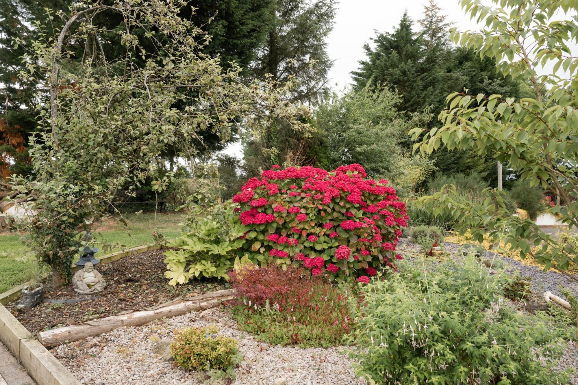Lakescape - Waterfront Self- Catering Cabins Enniskillen Extérieur photo